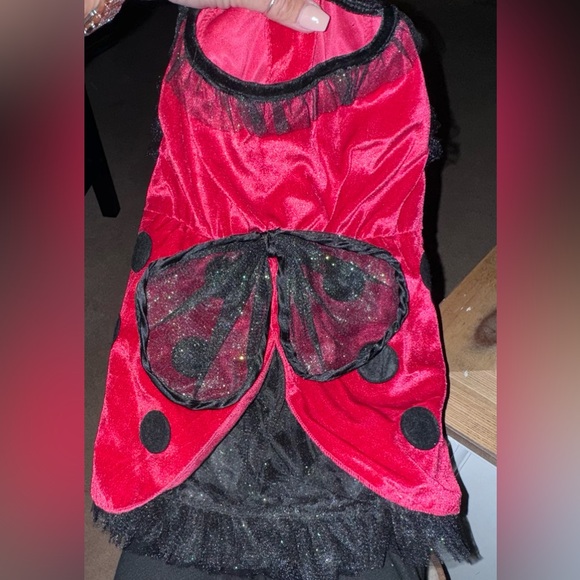 Lady bug Dog costume- size M - Picture 2 of 16